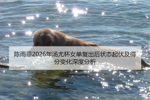 陈雨菲2026年汤尤杯女单复出后状态起伏及得分变化深度分析