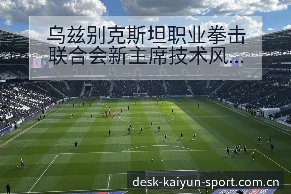 乌兹别克斯坦职业拳击联合会新主席技术风格与晋级路径分析 - 开云体育
