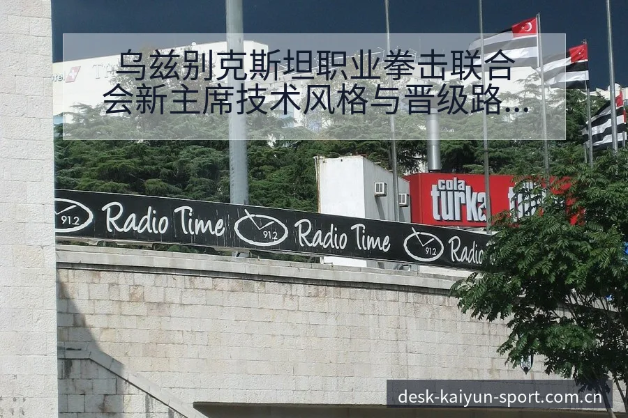 乌兹别克斯坦职业拳击联合会新主席技术风格与晋级路径分析 - 开云体育